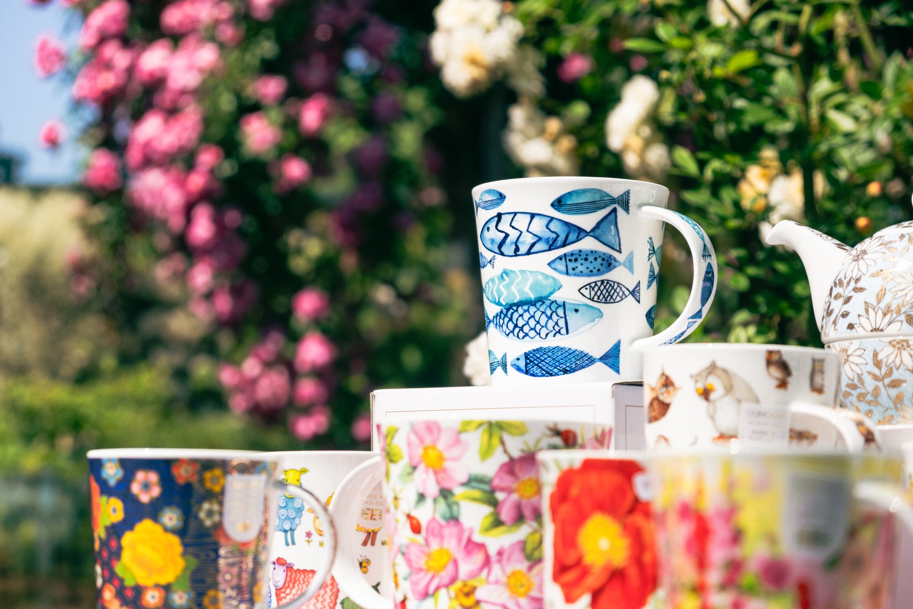 Photographie de produits et de boutique — 1 sur 13