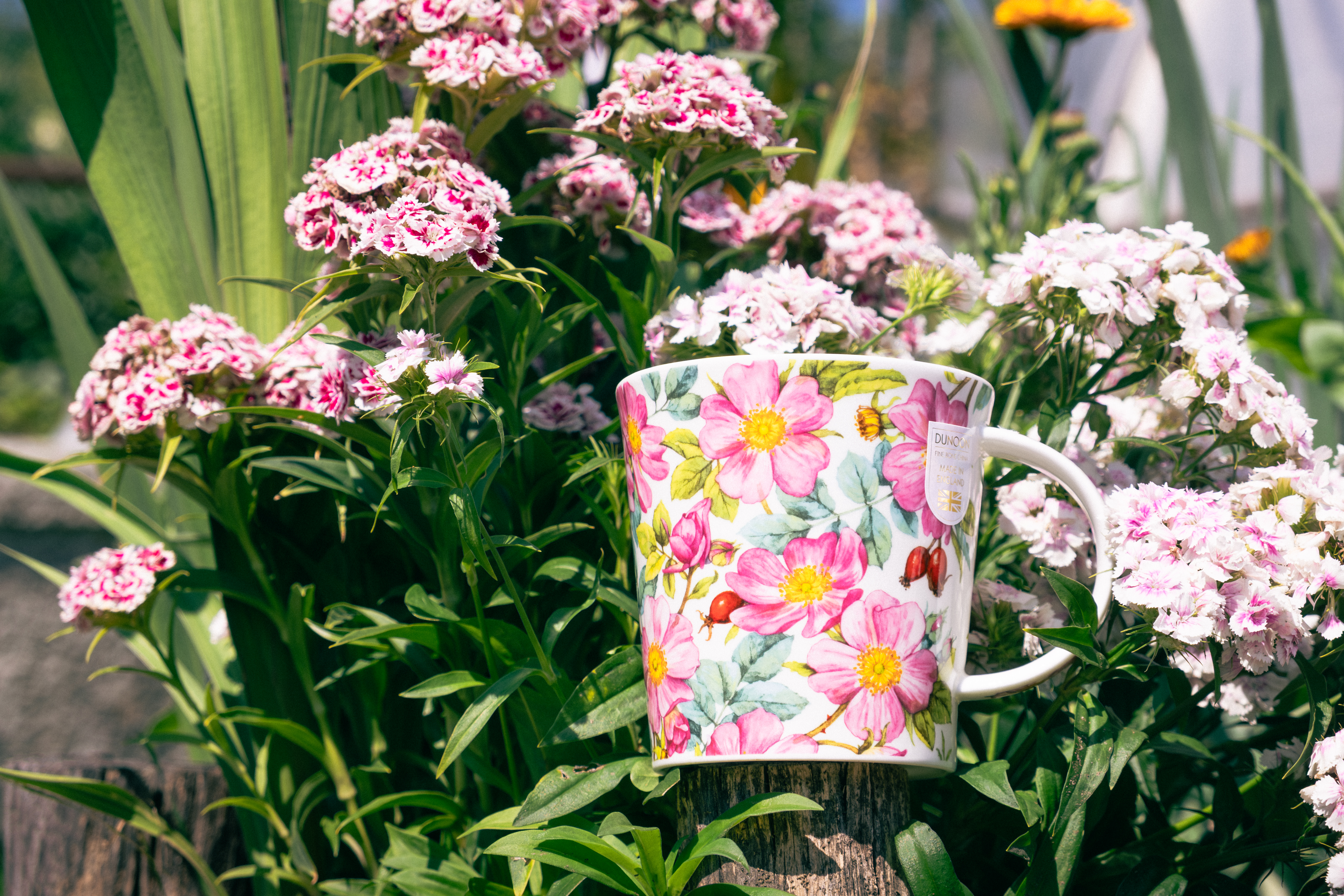 Photographie de produits et de boutique — 5 sur 13